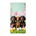 thumbnail image 5 of Easter Decorations Clearance, Easter Door Curtain Suitable For Large Party Supplies Room Garden Wall Decoration Holiday Decoration Background, 5 of 6