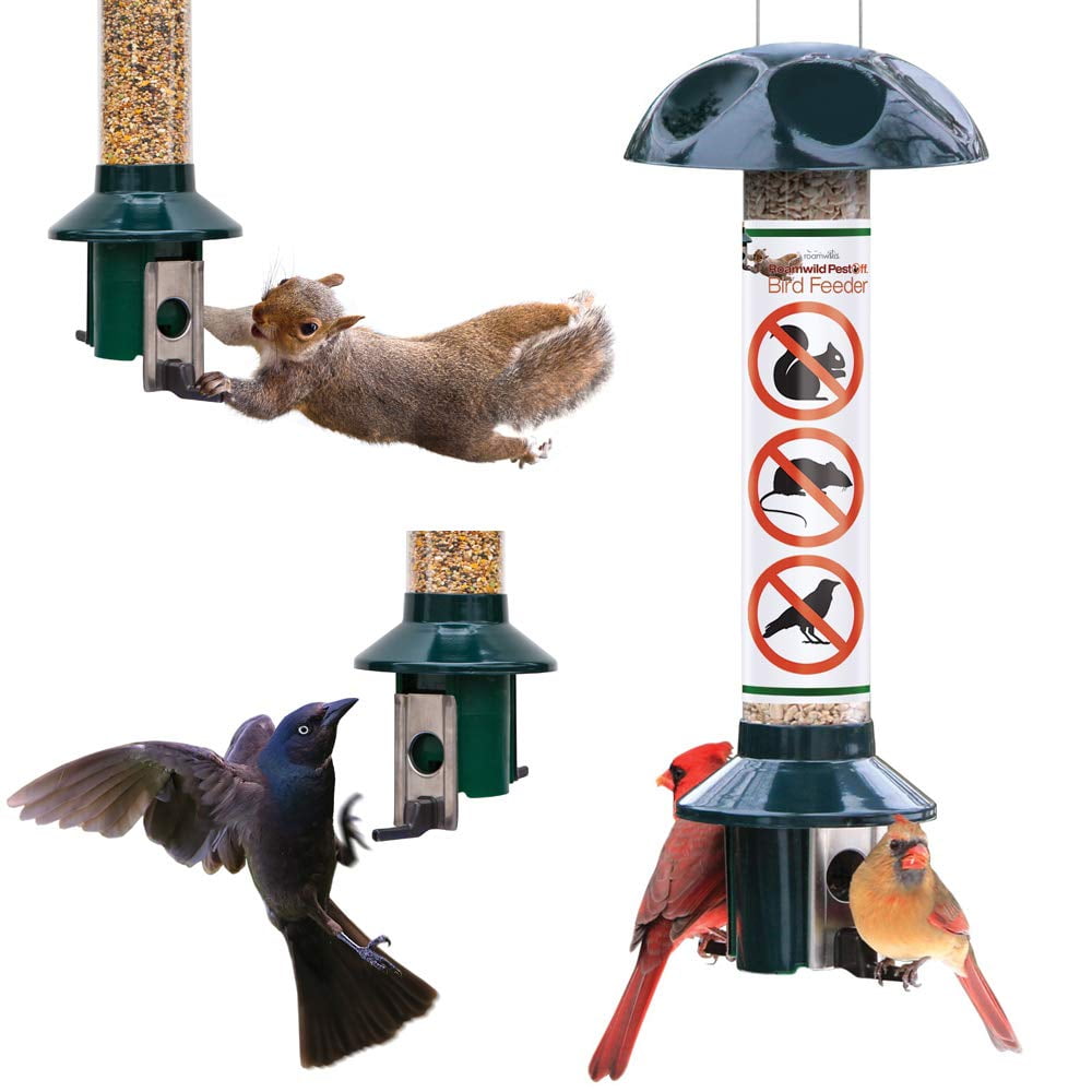 Roamwild Squirrel Proof Wild Bird Feeder Green 3LBS Capacity 20.5