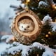 thumbnail image 1 of Adornos Navideños de Animales Acrílicos Planos con Diseño de Búho y Mapache, Impresos En 2D, Juego de 2 | Decoraciones Navideñas Duraderas con Cordón | Ideas para Árboles de Navidad, Coronas, Decorac, 1 of 6