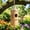 style C-1PCS, variant on 3PCS Wooden Hummingbird House for Outside Hanging,Natural Pine Hummingbirds House for Nature Lovers,Natural Hummingbird Nest with Fiber Ropes,Wild Bird Nest with Perch for Porch,Patio and Garden Yard