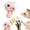 Pink, variant on Cat Fetch Toy with Colorful Flying Propellers Set Cat Interactive Toys Playing Tracking Propeller Toy for Indoor Outdoor Kitten Training Chasing Training Hunting, Dinosaur Style