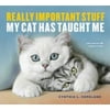 Really Important Stuff My Cat Has Taught Me, Used [Paperback]