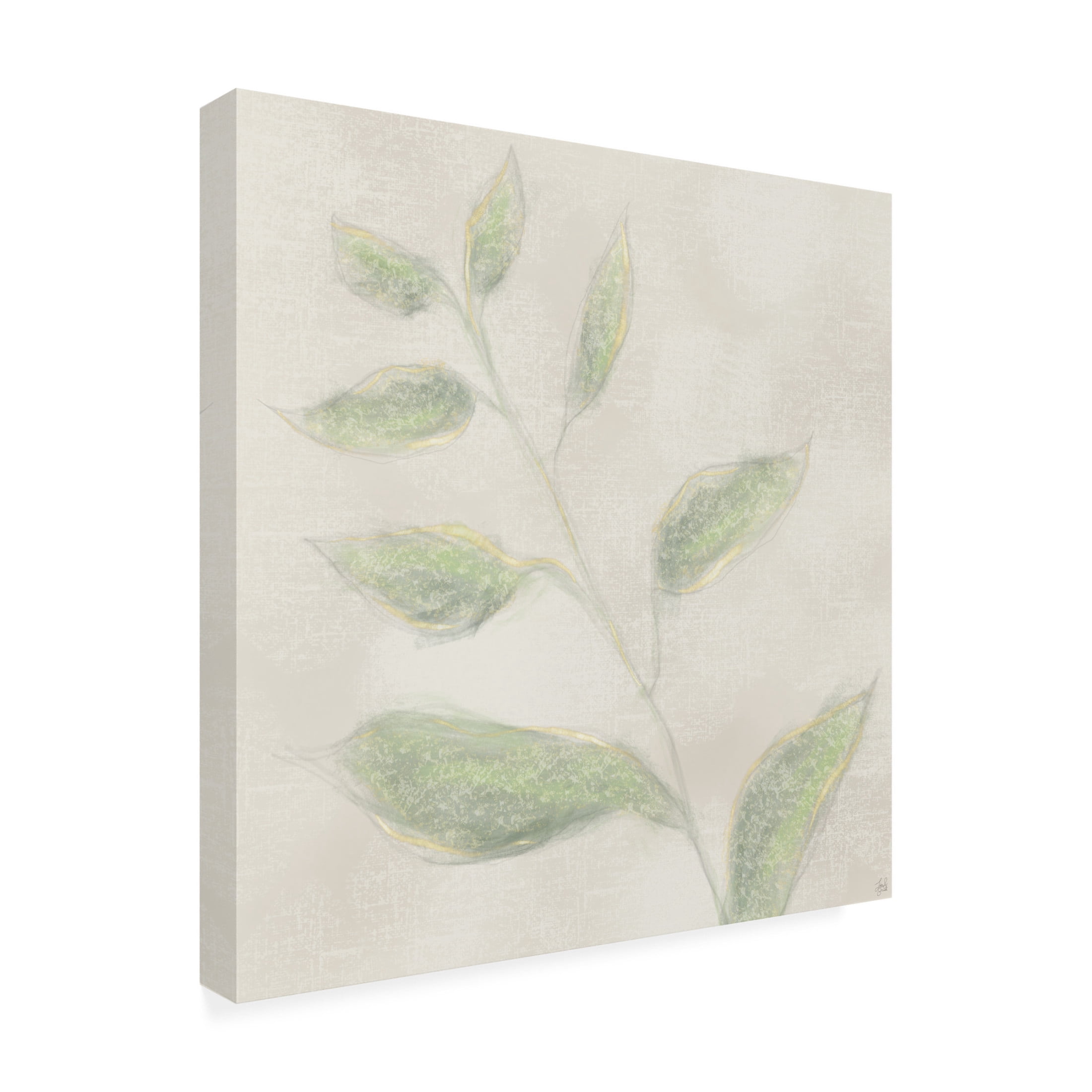 Canvas Wall Art - Line and Brush 'Botanical Single Growth 2' Wall Art for Living Room, Bedroom, or Office Décor by Trademark Fine Art - 35 x 35 Inches