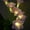Pink, variant on Solar Garden Lights Outdoor, 6 Lily Flowers LightsSolar Firefly Swaying Light with Color Changing LED Lily, Waterproof Decorative Flowers for Decor for Yard, Patio, Pathway, Gifts for Women Mom