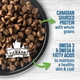 thumbnail image 4 of Nutrience Repas Sain pour Chaton au Poulet avec Recette de Riz Brun, Nourriture Sèche pour Chat, Sac de 2,5 kg, 4 of 5