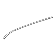 Genuine OE GM Roof Molding - 22800945