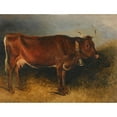 thumbnail image 3 of Friedrich Gauermann 18x15 Black Modern Framed Museum Art Print Titled - A Prize Cow, 3 of 5