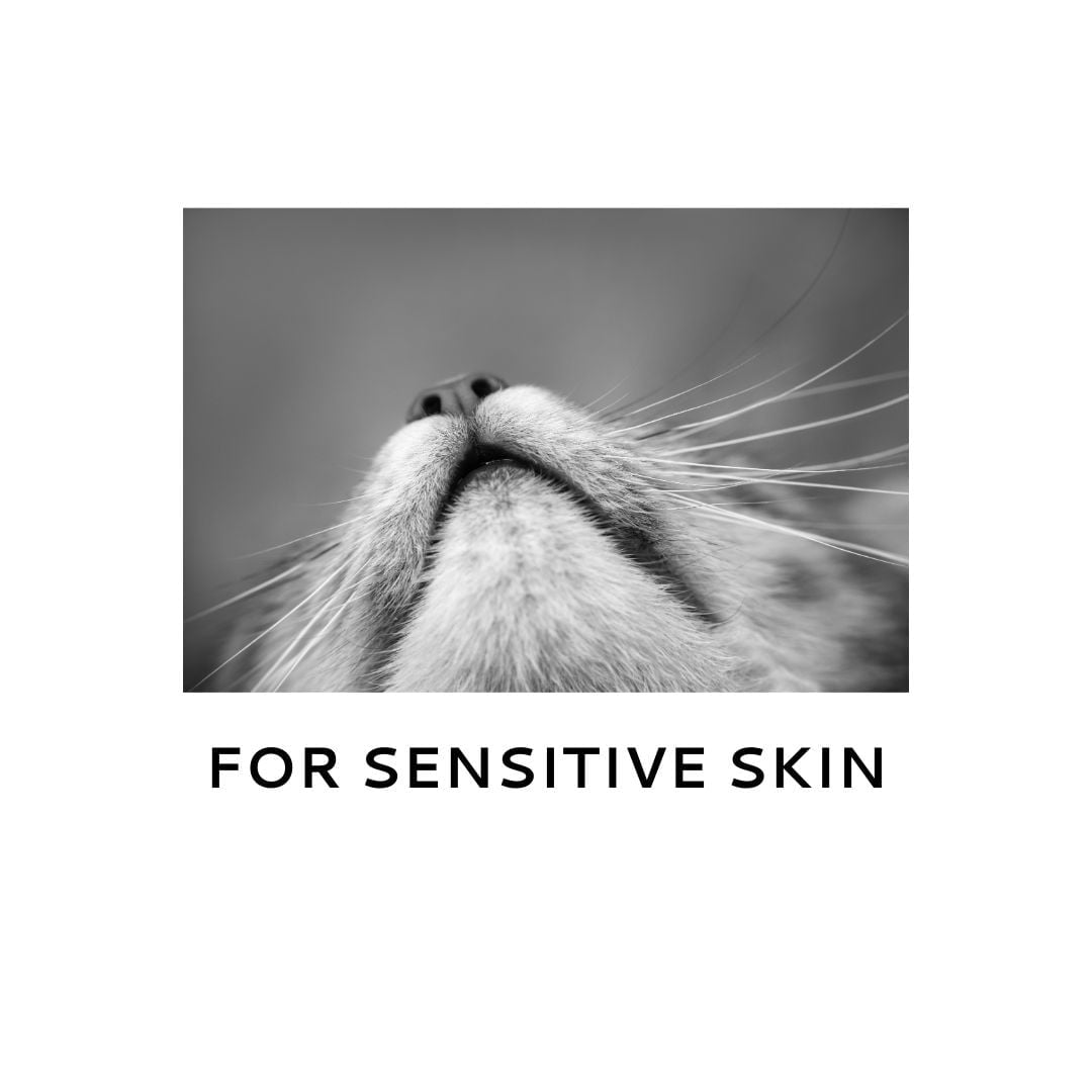 Shampooing peau sensible pour chats - 455ml - Modèle 58373 Sans parfum et colorant