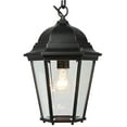 thumbnail image 2 of Little Tree Designs 1 Light Outdoor Hanging Lantern in Imperial Black Imperial Black Black N/A, 2 of 5