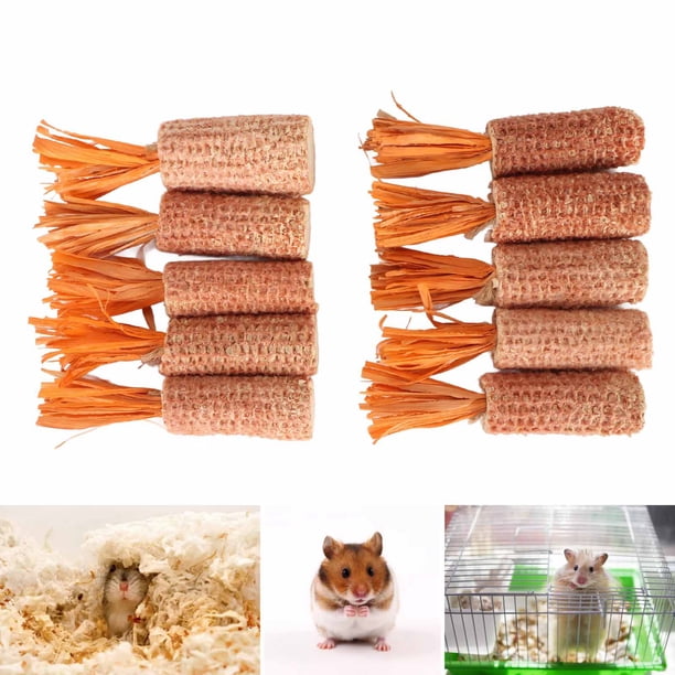 Juguete de Mazorca de Maíz para Hámster 10 Piezas de Juguete para Moler y Masticar Dientes de Conejo para Hámster Material Seguro en Forma de Zanahoria Juguetes para Hámster ANGGREK Otros