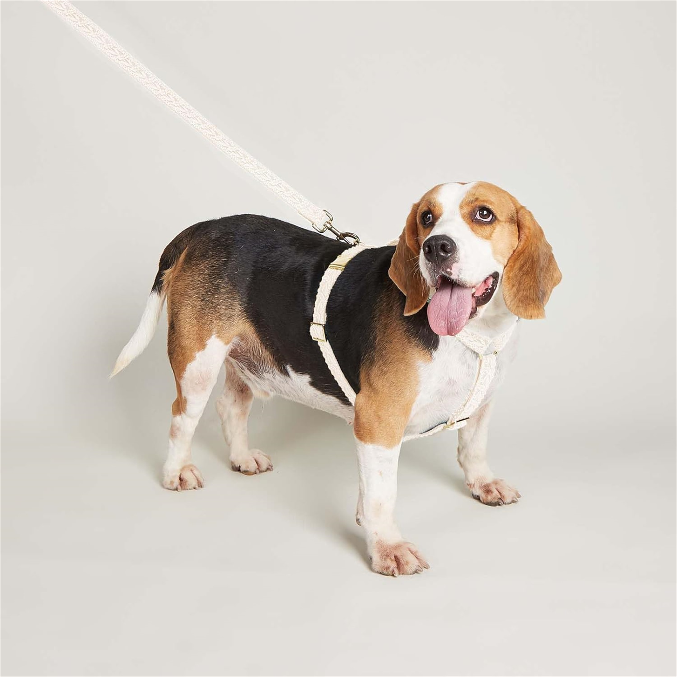 UOSIA Soft Lace Dog Harness and Leash Set,Adjustable Dog Wedding Harness Vest