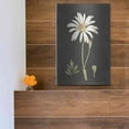 thumbnail image 5 of Luxe Metal Art 'Naturalist Bloom Study' by lettered & lined, Metal Wall Art, 12"x16", 5 of 9
