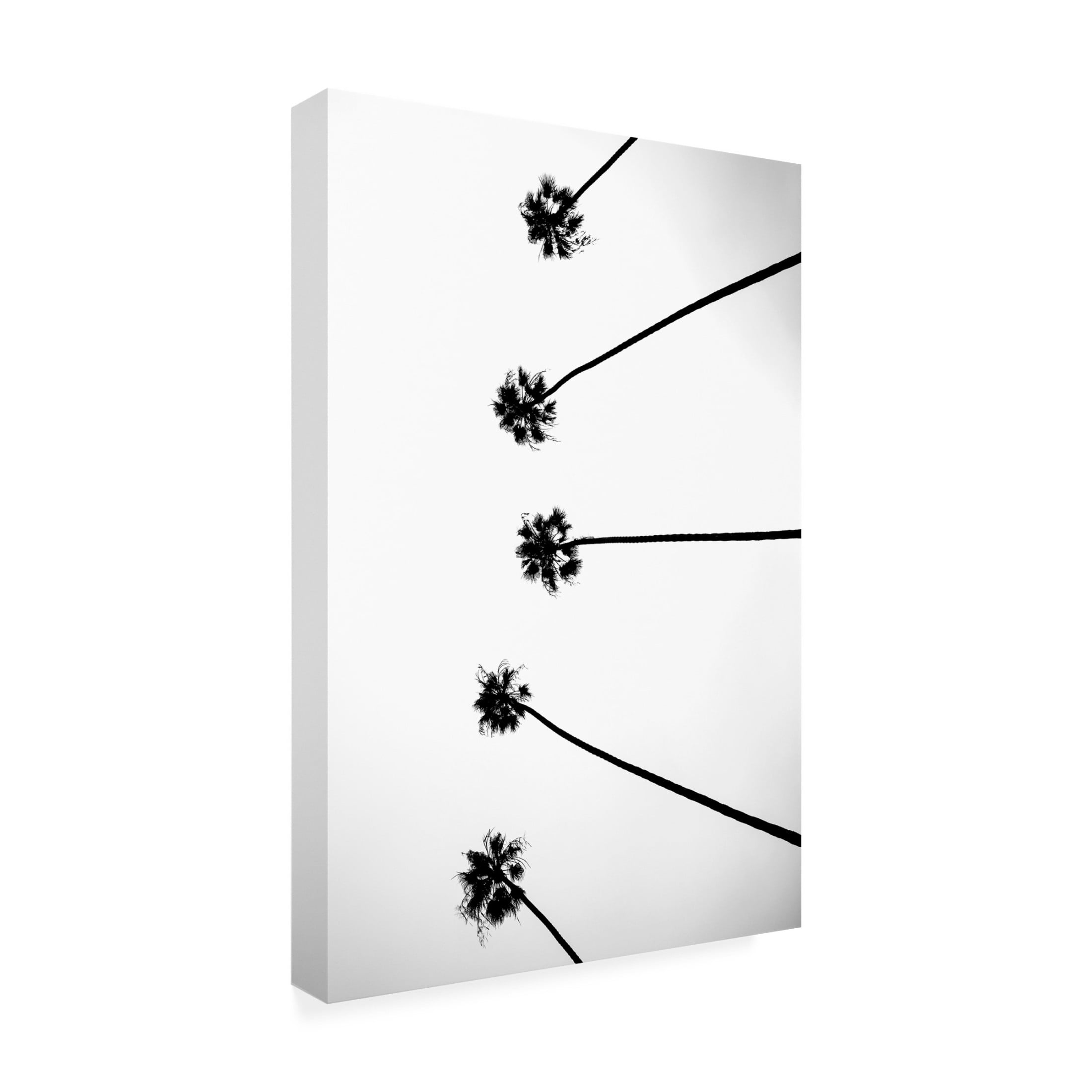 Trademark Fine Art Shot by Clint Cali Cathedrals 06 Canvas Wall Art