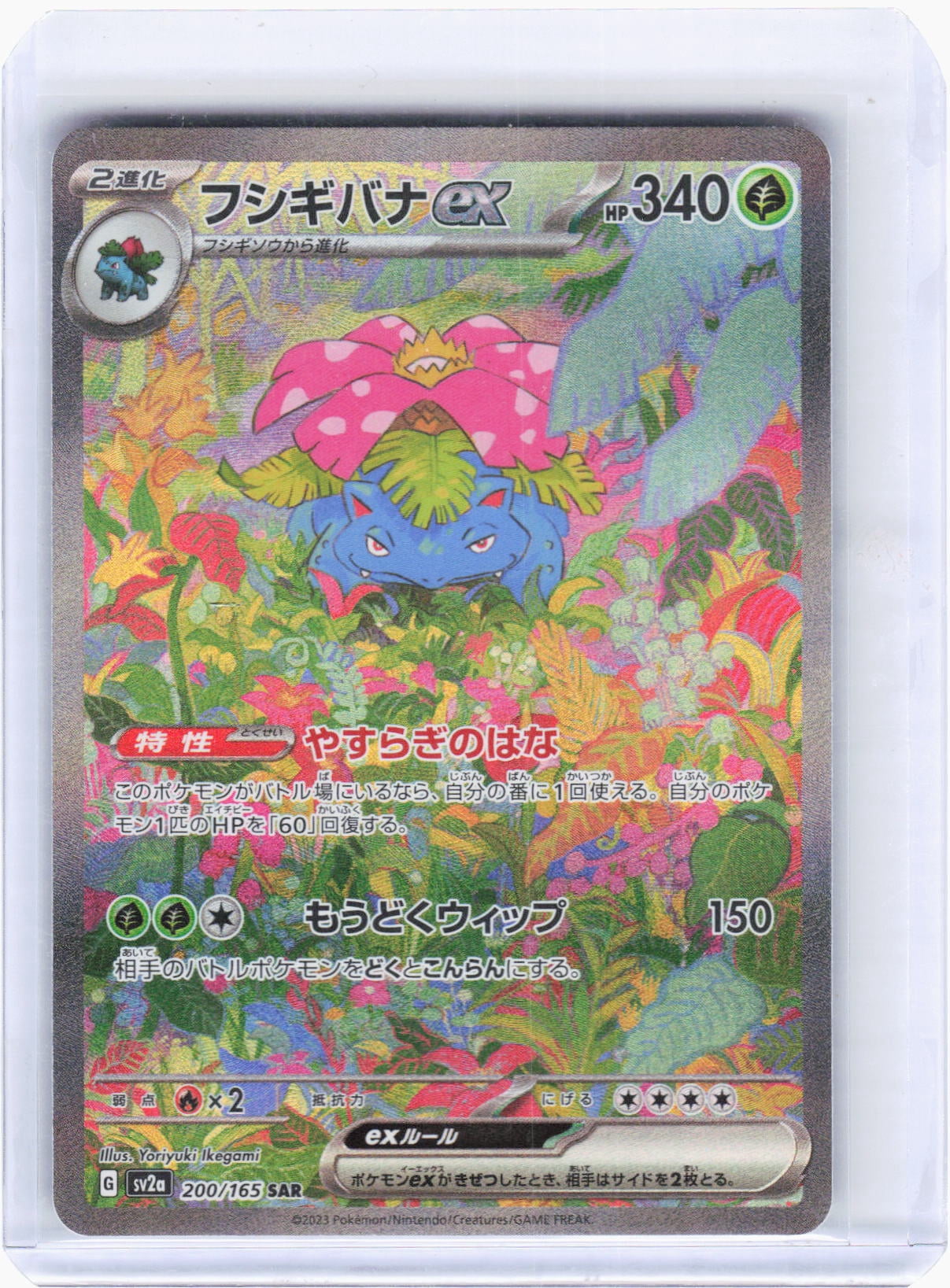 Sv2a: Pokemon Card 151 Venusaur EX Holo Special Art Rare Japanese #200