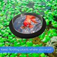 thumbnail image 2 of Acrylic Floating Plant Corral Dome Shape Floating Plant Ring for Intercepting Floating Plants in Aquariums, 2 of 7