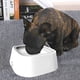 thumbnail image 4 of Cuenco flotante para mascotas, bebedero para pájaros para perros sin boca mojada, 4 of 5