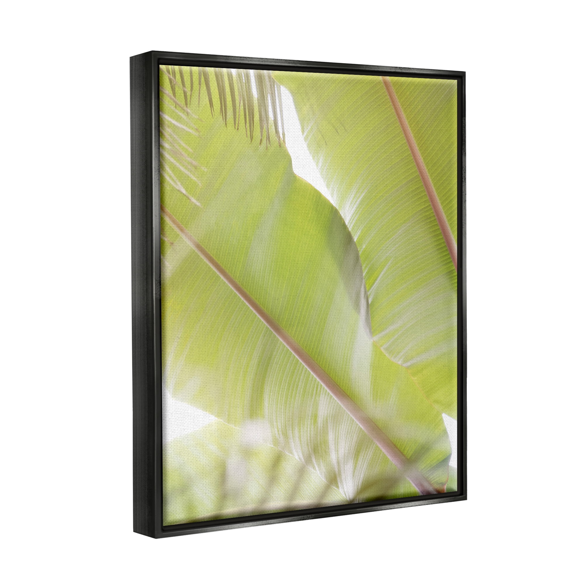 Stupell Tropical Palm Modern View Botanical & Floral Photography Black Floater Framed Art Print Wall Art