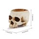 thumbnail image 4 of Macetero de calavera de resina para Halloween, modelo de diseño de calavera para decoración de escritorio de oficina en casa, 4 of 6