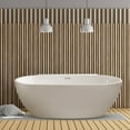 thumbnail image 2 of 65" Streamline N302BNK Soaking Freestanding Tub and Tray With Internal Drain in Brushed Nickel, 2 of 11
