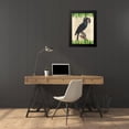 thumbnail image 4 of Lamanche, Stef 18x24 Black Modern Framed Museum Art Print Titled - The Palm Cockatoo- After Levaillant, 4 of 5