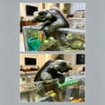 thumbnail image 6 of Veeogra Resin Climbing Turtle Decoration for Fish Tank Aquarium and Garden,Cute Simulation Turtle Ornament for Pot Hanging and Tabletop Landscaping,UV Resistant Outdoor Statue, 6 of 7