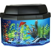 Hawkeye 5 Gal Tank Aquarium