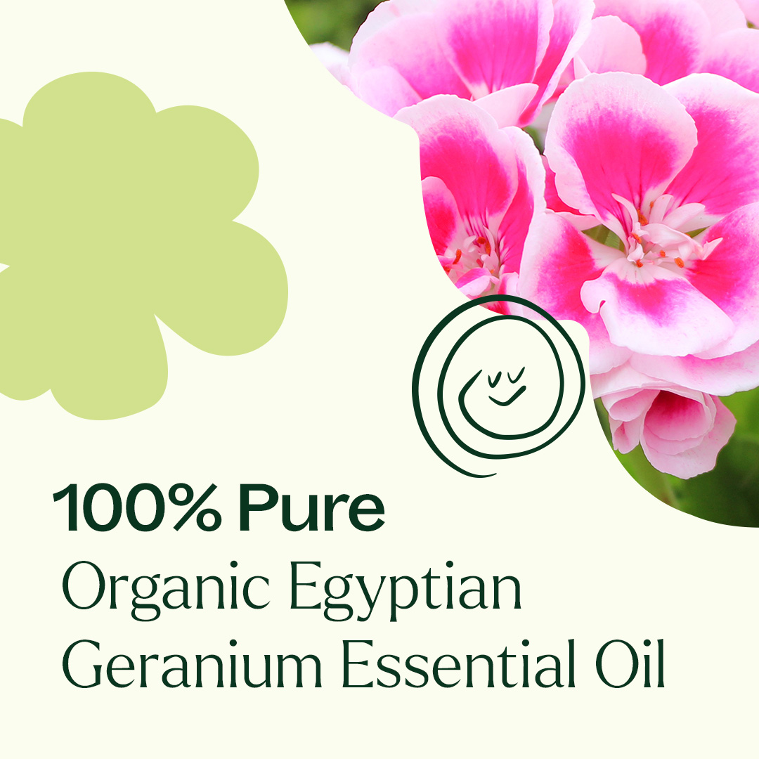 Plant Therapy Organic Egyptian Geranium Essential Oil 100% Pure, USDA Certified Organic, Undiluted, Natural Aromatherapy 10 mL (1/3 oz)