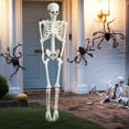 thumbnail image 6 of Cixusio 5.4Ft/165cm Halloween Skeleton Full Body Life Size Human Bones with Movable Joints for Indoor Outdoor Haunted House Party Halloween Props Decorations, 6 of 12