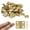 Gold, variant on 50Pcs Small Brass Hinges, 0.31"x0.39"Pure Copper Butt Gold Tiny Hinges for Mini Cabinet Jewelry Wooden Box,Doll House DIY with Mounting Screws