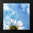 thumbnail image 2 of Blixt, Ingrid 12x12 Black Modern Framed Museum Art Print Titled - Daisies III, 2 of 5