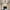Black, variant on LongLiYi Christmas Gifts Clearance Corridor Lights Balcony Porch Lights Entrance Lights Modern and Crystal Lights Light In The Bedroom Ceiling Lights.