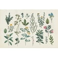 thumbnail image 2 of Wild Apple Portfolio 32x23 White Modern Wood Framed Museum Art Print Titled - Victorian Garden III, 2 of 4