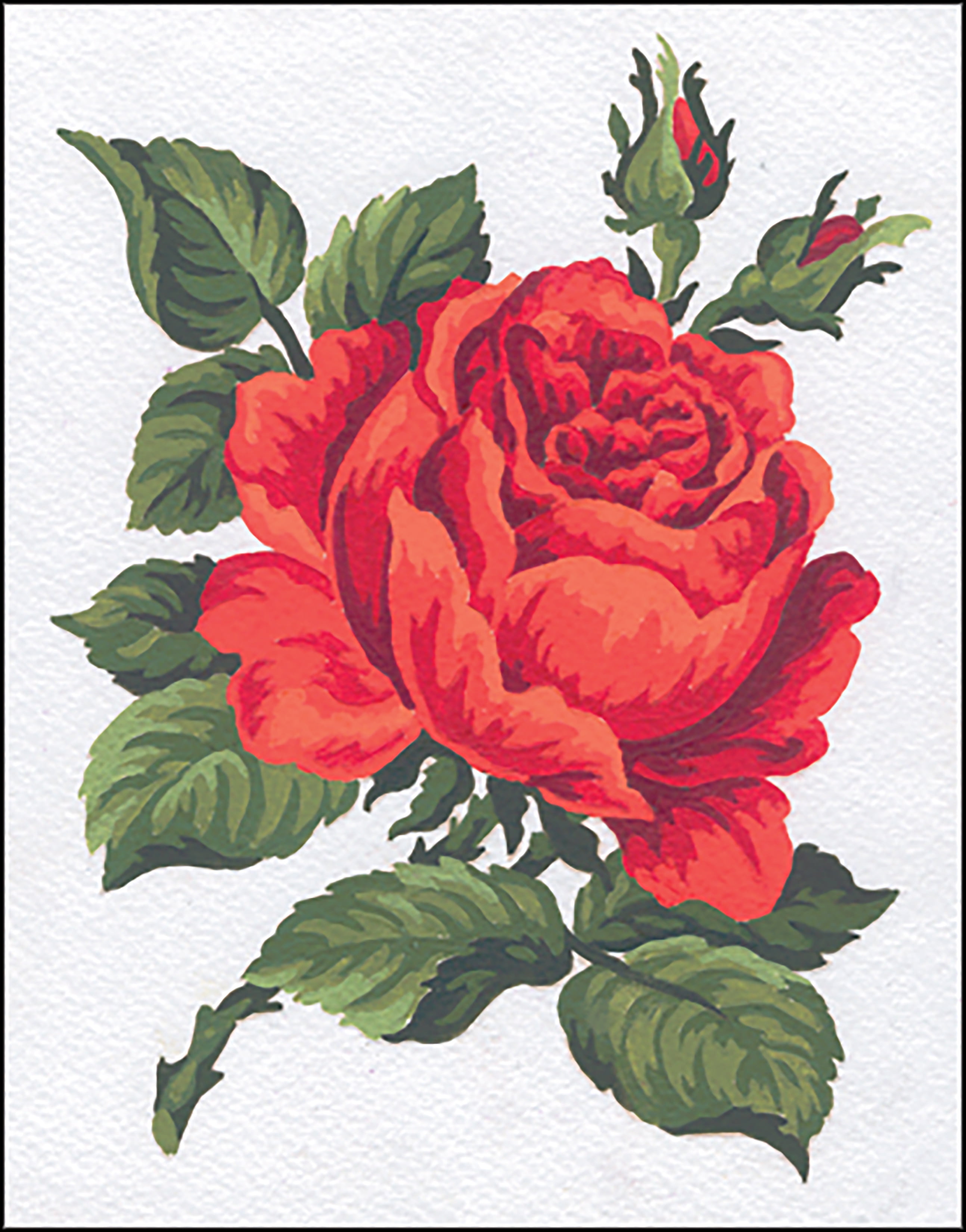 Needleart World Needlepoint Kit 8"X10"Red Rose