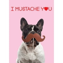 I Mustache You Valentine's Day Greeting Card