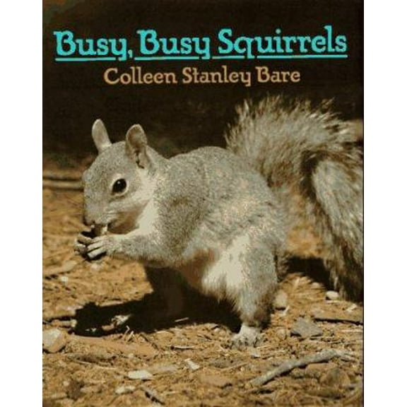Pre-Owned Busy, Busy Squirrels (Hardcover) by Colleen Stanley Bare