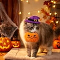thumbnail image 3 of Halloween Squeaky Dog Toys, Funny Pumpkin Shape Interactive Chew Toys for Puppy Small and Medium Dogs, 3 of 5