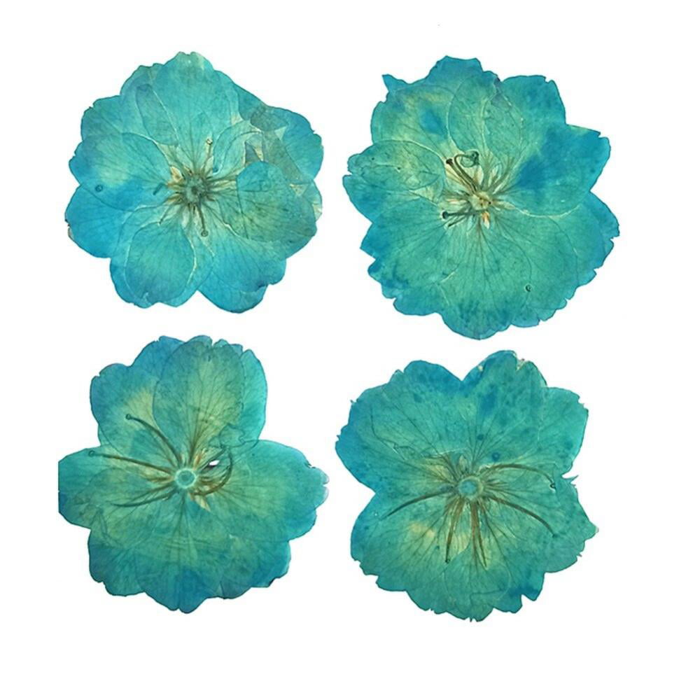 20pcs Pressed Real Dried Flowers for DIY Floral Art Craft Card Making Photo Prop 