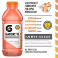 thumbnail image 5 of Gatorlyte Rapid Rehydration 6‑Flavor Sampler Pack, 20oz Bottles (6 Count), 5 of 20