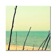thumbnail image 2 of Trademark Fine Art "Branches on the Beach" Canvas Wall Art by Michelle Calkins, 2 of 3