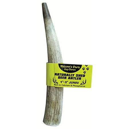 NATURE' S OWN NATURALLY SHED ELK ANTLER DOG CHEW