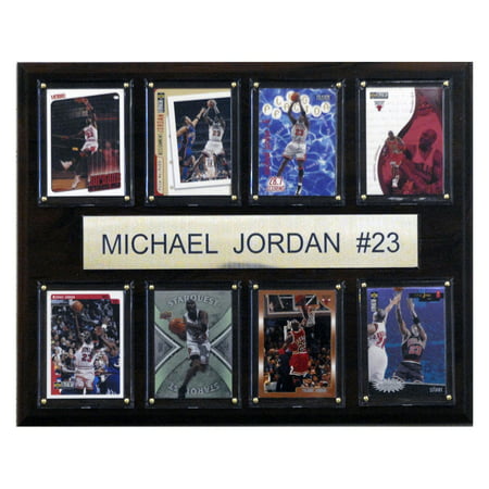 C&I Collectables NBA 12x15 Michael Jordan Chicago Bulls 8-Card (Michael Jordan Best Pics)