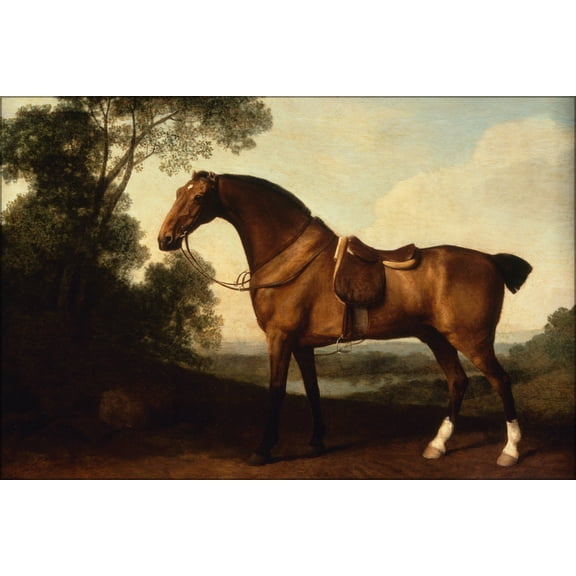 24"x36" Gallery Poster, George Stubbs A Saddled Bay Hunter
