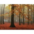thumbnail image 3 of Podt, Martin 24x19 Black Modern Framed Museum Art Print Titled - Miss Misty, 3 of 5