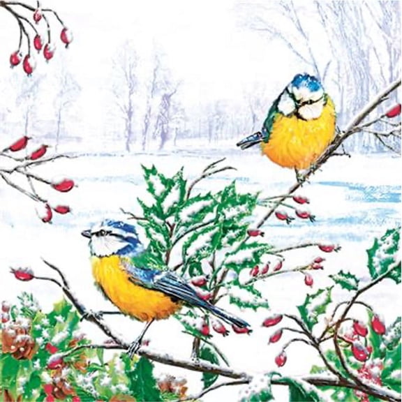Bird Napkins WINTER TITS 40pcs Lunch Napkins, Bird Paper Napkins, Decoupage Bird Napkins, Disposable Napkins Decorative, Winter Napkins