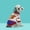 Bear, variant on SENHAWK Dog Knitted Sweater for Small Dogs, Soft Warm Breathable Pet Pullover with Round Neck, Cute Christmas Holiday Pattern, Stretchy 3D Tailoring Dog Clothes for Puppy Cat Fall Winter