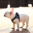 thumbnail image 2 of PETKIT Air Fly Pet Harness, Small, Breathable, Light Foam, Shock Absorbent (Small), 2 of 5