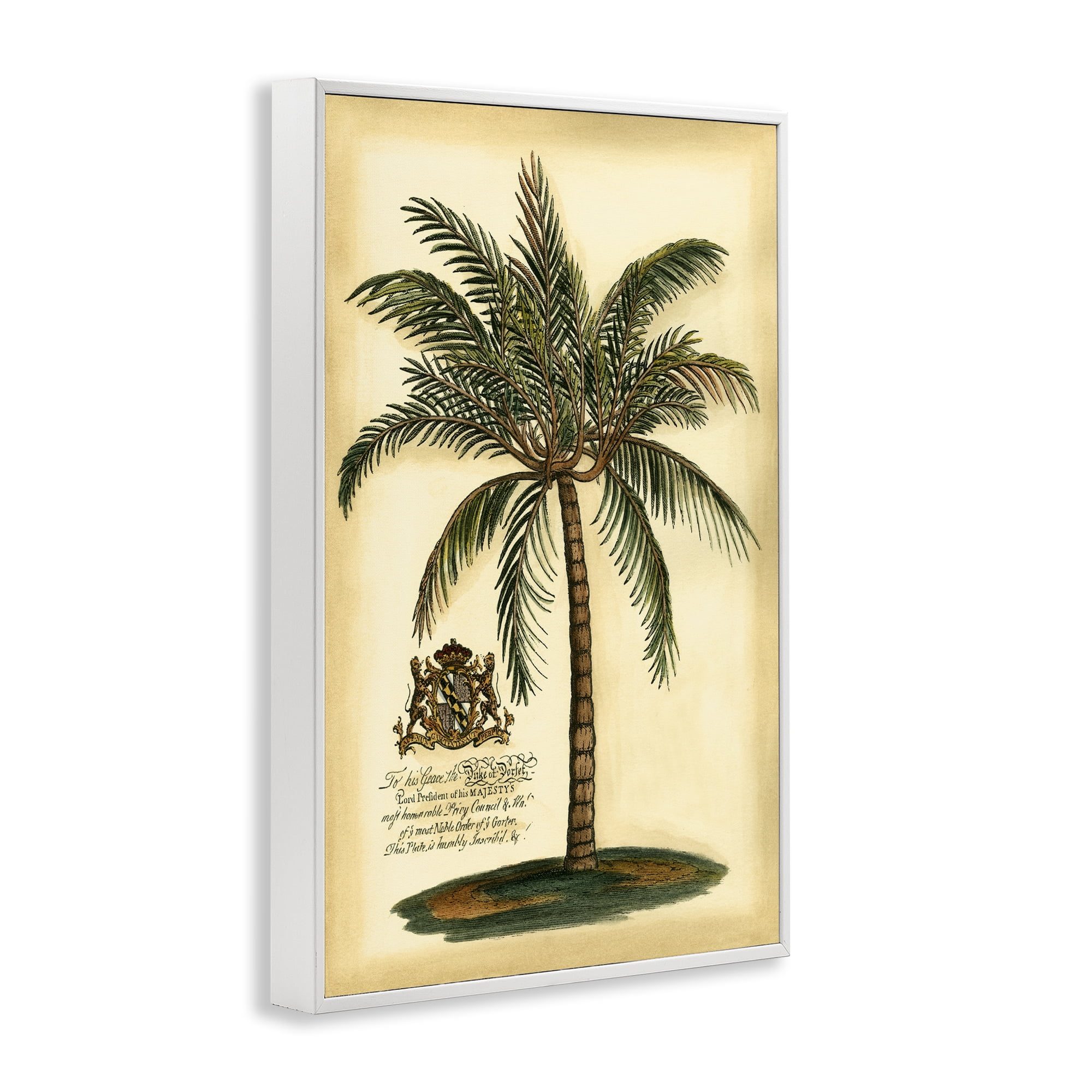 Stupell Industries British Colonial Palm White Framed Giclee Art, design by Vision Studio