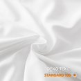 thumbnail image 3 of Juego de edredón JANZAA Twin White Volantes Vintage Farmhouse, 3 of 9