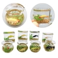 thumbnail image 2 of SDFGTstore Exquisite Mini Glass Fish Tank Aquarium Scene Model for Dollhouse Collectors, 2 of 17
