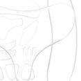 thumbnail image 2 of Etiqueta Engomada De La Arruga Tiras de estiramiento facial Almohadillas de silicona convenientes para la piel para el cuidado del cuerpo (G) Likrtyny Cuidado Belleza, 2 of 6